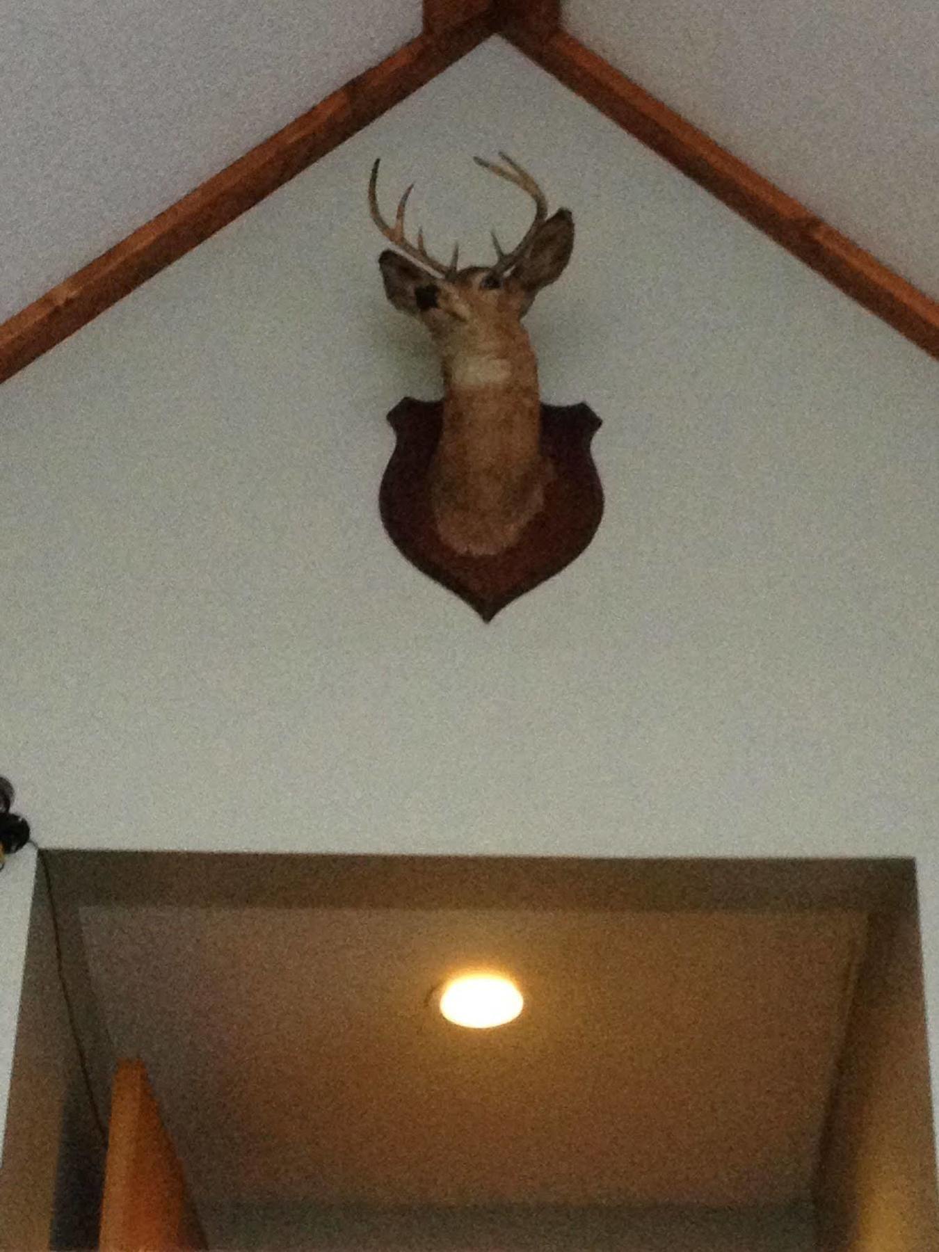 Chaffee Lodge Luaran gambar